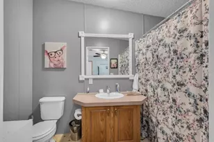 415 Hal Colding Rd, Lithia, FL 33547 - Photo 69