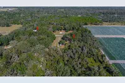 415 Hal Colding Road, Lithia, FL 33547 - Photo 15