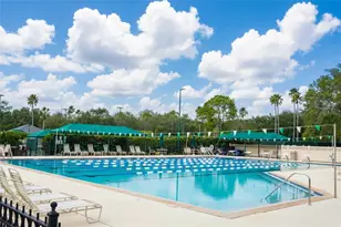 10144 Arbor Run Dr, Tampa, FL 33647 - Photo 29