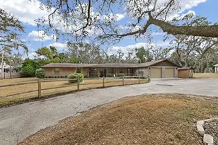 4105 Robinson Rd, Valrico, FL 33594 - Photo 11