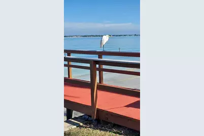 6211 Sun Boulevard #401, Saint Petersburg, FL 33715 - Photo 59