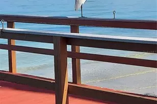 6211 Sun Blvd, Saint Petersburg, FL 33715 - Photo 59