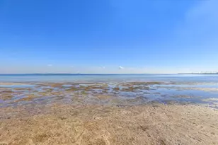 2965 Bayshore Pointe Dr, Tampa, FL 33611 - Photo 49