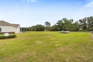 6618 Emma Jane Ln, Plant City, FL 33565 - Photo 45