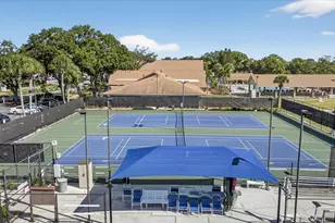 2211 Lark Cir W, Palm Harbor, FL 34684 - Photo 57