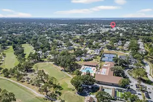 2211 Lark Cir W, Palm Harbor, FL 34684 - Photo 59