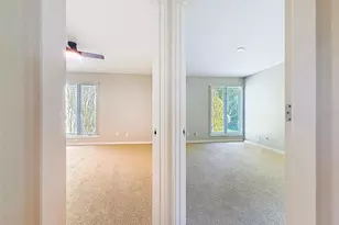 1351 Willow Brk Dr, Palm Harbor, FL 34683 - Photo 57