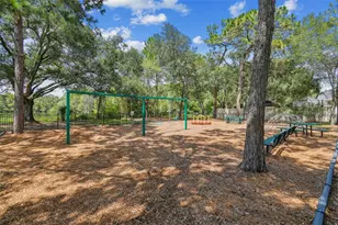 13691 Orange Sunset Dr, Tampa, FL 33618 - Photo 47