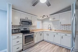 18832 Dorman Rd, Lithia, FL 33547 - Photo 11