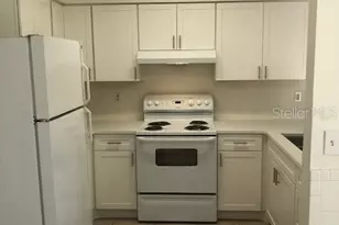 607 Omaha St, Palm Harbor, FL 34683 - Photo 3