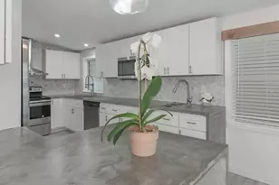 1428 Illinois Ave, Palm Harbor, FL 34683 - Photo 11