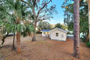 8917 N Highland Ave, Tampa, FL 33604 - Photo 53