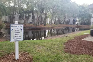 7100 Waterside Dr, Tampa, FL 33617 - Photo 11