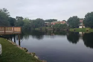 7100 Waterside Dr, Tampa, FL 33617 - Photo 13