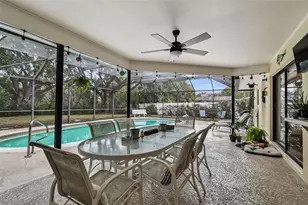 3545 Snowy Egret Ct, Palm Harbor, FL 34683 - Photo 41