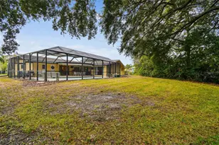 3545 Snowy Egret Ct, Palm Harbor, FL 34683 - Photo 45