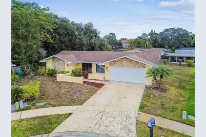 3545 Snowy Egret Court, Palm Harbor, FL 34683 - Photo 51