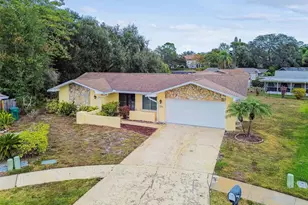 3545 Snowy Egret Ct, Palm Harbor, FL 34683 - Photo 51
