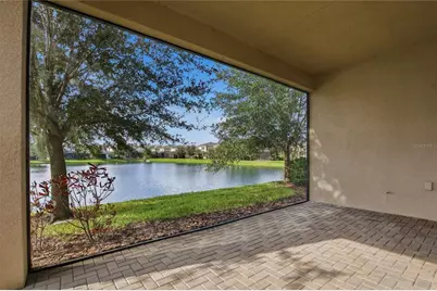 30588 Chesapeake Bay Drive, Wesley Chapel, FL 33543 - Photo 41