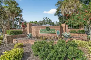 508 Sonoma Dr, Valrico, FL 33594 - Photo 49