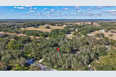 6022 Hammock Hill Avenue, Lithia, FL 33547 - Photo 37