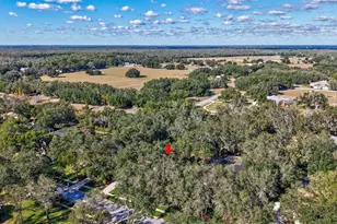 6022 Hammock Hill Ave, Lithia, FL 33547 - Photo 37