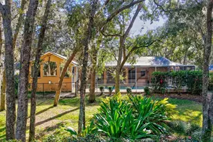 6022 Hammock Hill Ave, Lithia, FL 33547 - Photo 35