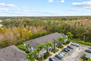 18103 Paradise Point Dr, Tampa, FL 33647 - Photo 27