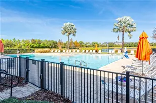6615 Current Dr, Apollo Beach, FL 33572 - Photo 69