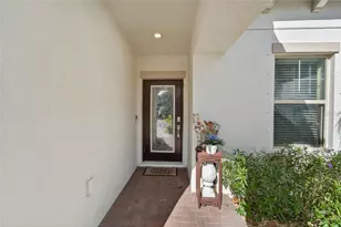 17011 Clear Cork Dr, Wimauma, FL 33598 - Photo 31