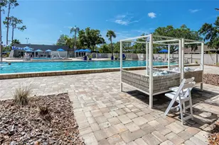 209 Cypress Ct, Oldsmar, FL 34677 - Photo 31