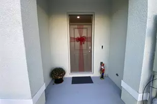 261 Royal Spoonbill Drive, Ruskin, FL 33570 - Photo 5