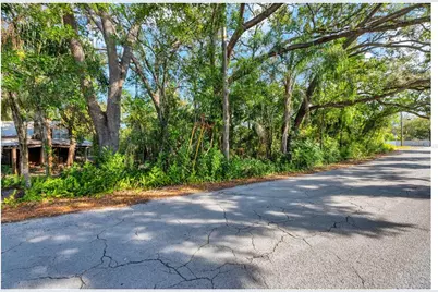 12805 Forest Hills Drive, Tampa, FL 33612 - Photo 19