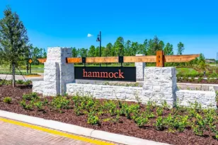 35056 Emberview Dr, Zephyrhills, FL 33541 - Photo 29