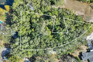 12805 Forest Hills Dr, Tampa, FL 33612 - Photo 3