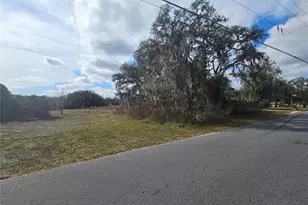 34794 Orchid Pkwy, Ridge Manor, FL 33523 - Photo 1