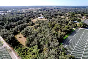 9471 McIntosh Rd, Dover, FL 33527 - Photo 33