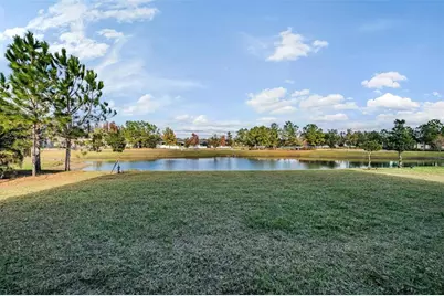 19529 Hayden Lake Court, Land O Lakes, FL 34638 - Photo 39