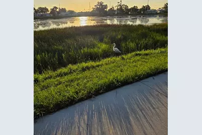 10171 45th Way N, Pinellas Park, FL 33782 - Photo 35