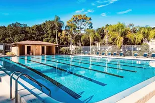 11709 Raintree Village Blvd, Temple Terrace, FL 33617 - Photo 23