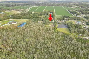 3510 Moores Lake Rd, Dover, FL 33527 - Photo 9