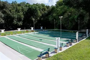 2465 Putter Rd, Zellwood, FL 32798 - Photo 29