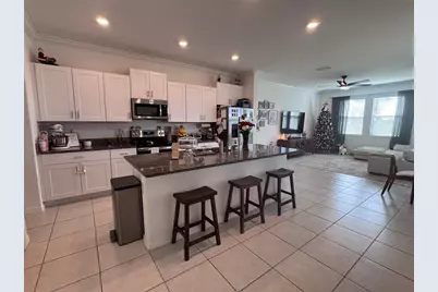 31779 Blue Passing Loop, Wesley Chapel, FL 33545 - Photo 3
