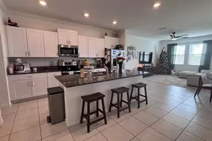 31779 Blue Passing Loop, Wesley Chapel, FL 33545 - Photo 3