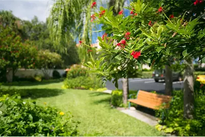 4737 Dolphin Cay Lane S #207, Saint Petersburg, FL 33711 - Photo 55