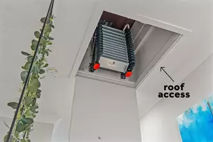 946 Highland Ave, Dunedin, FL 34698 - Photo 31