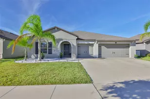 13575 Willow Bluestar Loop, Riverview, FL 33579 - Photo 1