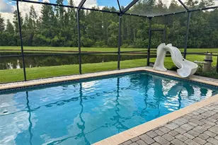 21529 Southern Charm Dr, Land O Lakes, FL 34637 - Photo 41