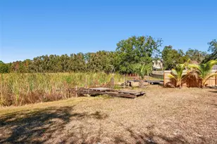 12902 N Howard Ave, Tampa, FL 33612 - Photo 61