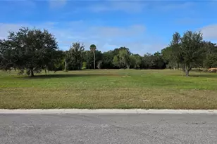 15311 Fishhawk Heights Run, Lithia, FL 33547 - Photo 1